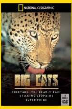 Watch National Geographic: Living With Big Cats M4uhd