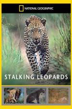 Watch National Geographic: Stalking Leopards M4uhd
