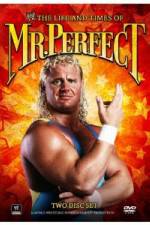 Watch The Life and Times of Mr Perfect M4uhd