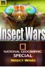 Watch National Geographic Insect Wars M4uhd