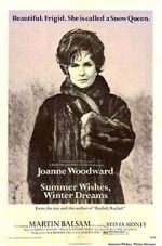 Watch Summer Wishes, Winter Dreams M4uhd