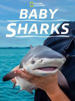 Watch Baby Sharks M4uhd