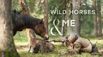 Watch Wild Horses, the Rockies and Me (TV Special 2025) M4uhd