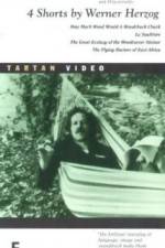 Watch La Soufria?re - Waiting For An Inevitable Disaster M4uhd