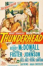 Watch Thunderhead: Son of Flicka M4uhd