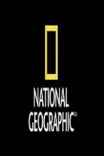 Watch National Geographic Wild Animal Attacks On Vacation M4uhd