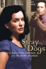Watch Stray Dogs M4uhd