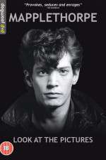 Watch Mapplethorpe: Look at the Pictures M4uhd