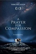 Watch A Prayer for Compassion M4uhd