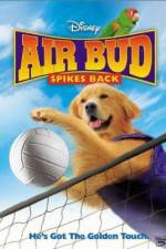 Watch Air Bud Spikes Back M4uhd
