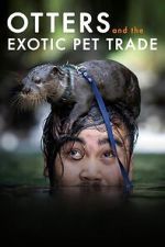 Watch Otters and the Exotic Pet Trade M4uhd