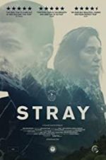 Watch Stray M4uhd