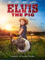Watch Elvis the Pig M4uhd