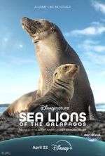 Watch Sea Lions of the Galapagos (TV Special 2025) M4uhd