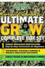 Watch Jorge Cervantes Ultimate Grow Complete Box Set M4uhd