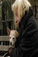 Watch Water in the Boat M4uhd