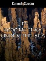 Watch Life 2,000 Meters Under the Sea M4uhd