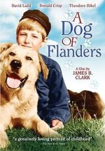 Watch A Dog of Flanders M4uhd