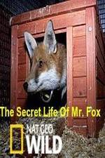 Watch The Secret Life of Mr. Fox M4uhd