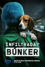 Watch Infiltrada en el b�nker M4uhd