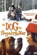 Watch La guerre des tuques M4uhd