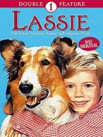 Watch Lassie: A New Beginning M4uhd