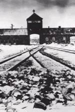 Watch AUSCHWITZ: CORRUPTION M4uhd