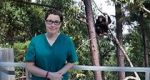 Watch Sue Perkins and the Chimp Sanctuary M4uhd