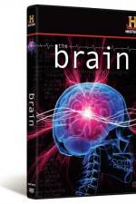 Watch The Brain M4uhd