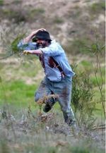 Watch Riot or Revolution: Eureka Stockade 1854 M4uhd