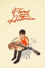 Watch Flores para Antonio M4uhd