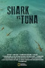 Watch Shark vs Tuna M4uhd