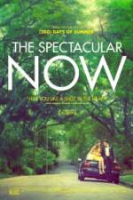 Watch The Spectacular Now M4uhd