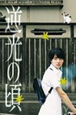 Watch Lights of Kyoto M4uhd