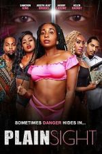 Watch Plain Sight M4uhd