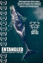Watch Entangled: The Race to Save Right Whales from Extinction M4uhd