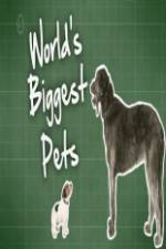 Watch World's Biggest Pets M4uhd