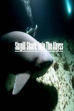 Watch National Geographic Wild Sixgill Shark Into The Abyss M4uhd
