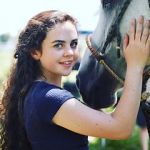 Watch Wildfire: The Legend of the Cherokee Ghost Horse M4uhd