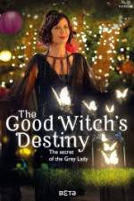 Watch The Good Witchs Destiny M4uhd