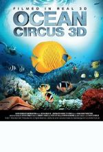 Watch Ocean Circus 3D: Underwater Around the World M4uhd