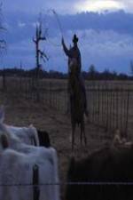 Watch Cowboy Christmas M4uhd