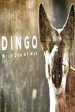 Watch Dingo Wild Dog at War M4uhd