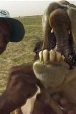 Watch With the Nomads M4uhd