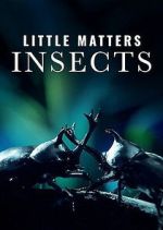 Watch Little Matters: Insects M4uhd
