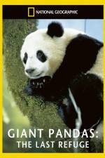 Watch National Geographic Giant Pandas The Last Refuge M4uhd