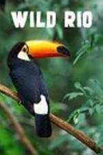 Watch Wild Rio M4uhd