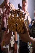 Watch Iraq's Lost Treasure M4uhd