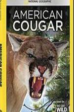 Watch National Geographic - American Cougar M4uhd