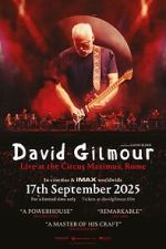 Watch David Gilmour Live at the Circus Maximus, Rome M4uhd